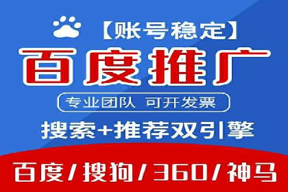 案例研究：SEM开户助力电商快速崛起